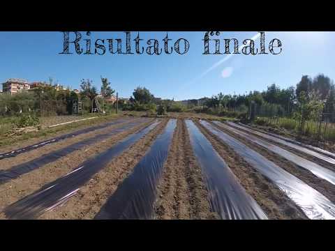 Siccome il nemozol elimina un verme Parte di parassita di 1 fotografia