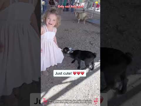 Baby and baby goat 🤣#animals #funnyvideo #sheep #goat #baby