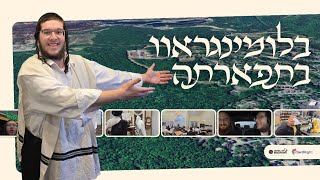 מדוע פורחת גרוב הופכת ללב של כלל ישראל | סיור קהילתי מלא | יידיש