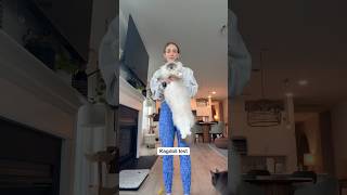 Download lagu Ragdoll Test #cats mp3