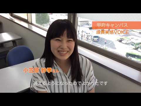 動画の説明
