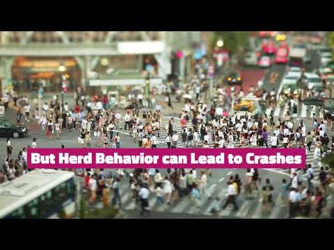 Don't Get Run Over by the Herd - CrowdThnk