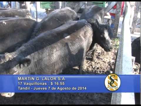 Martin G. Lalor S.A. - Tandil - Gordo - 07/08/2014