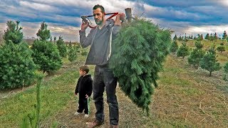 Creating Christmas Traditions