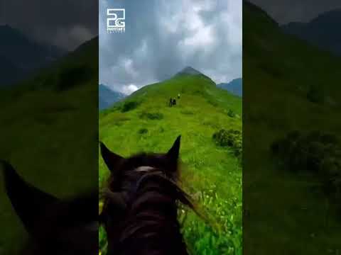 "Ride with the Wind: Equestrian Escapes in Northern Pakistan 🏇 #AdventureAwaits"