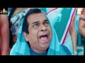 Legend Movie Brahmanandam Comedy Scenes Back To Back Latest Telugu Scenes SriBalajiMovies
