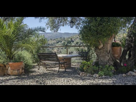 AX610 - Lagar El Hueco, the land