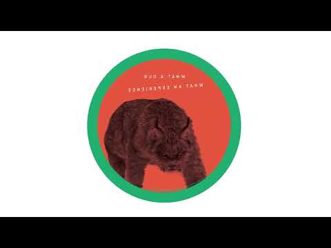 Paolo Rocco & Lessi S. - What A Day [Courtesy of Balance]