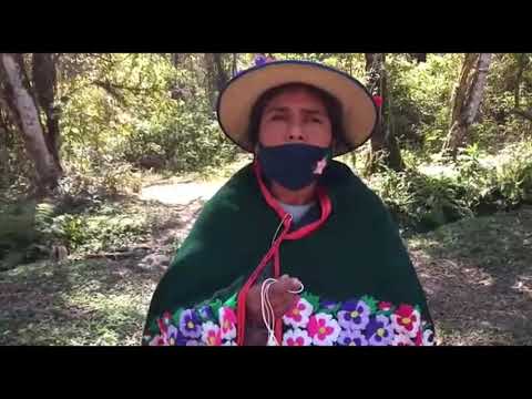La comunidad Kolla Tinkunaku ejemplo de conservación y cuidado del Ambiente