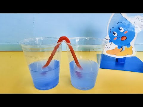 ニンフォンの図