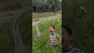 Download lagu Seasir stream x daido kraven 1000 #fishing #belajarmancing #trending #mancing #fyp #viral #shorts mp3