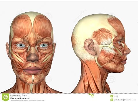 Aumento dei globuli bianchi nelle urine dolore lombare Ernia della colonna vertebrale cervicale e toracico