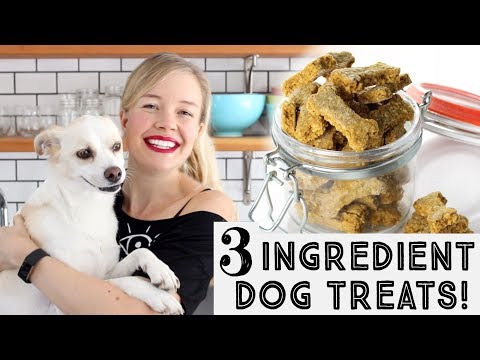 download lagu mp3 mp4 Frozen Pumpkin Peanut Butter Dog Treats, download lagu Frozen Pumpkin Peanut Butter Dog Treats gratis, unduh video klip Frozen Pumpkin Peanut Butter Dog Treats