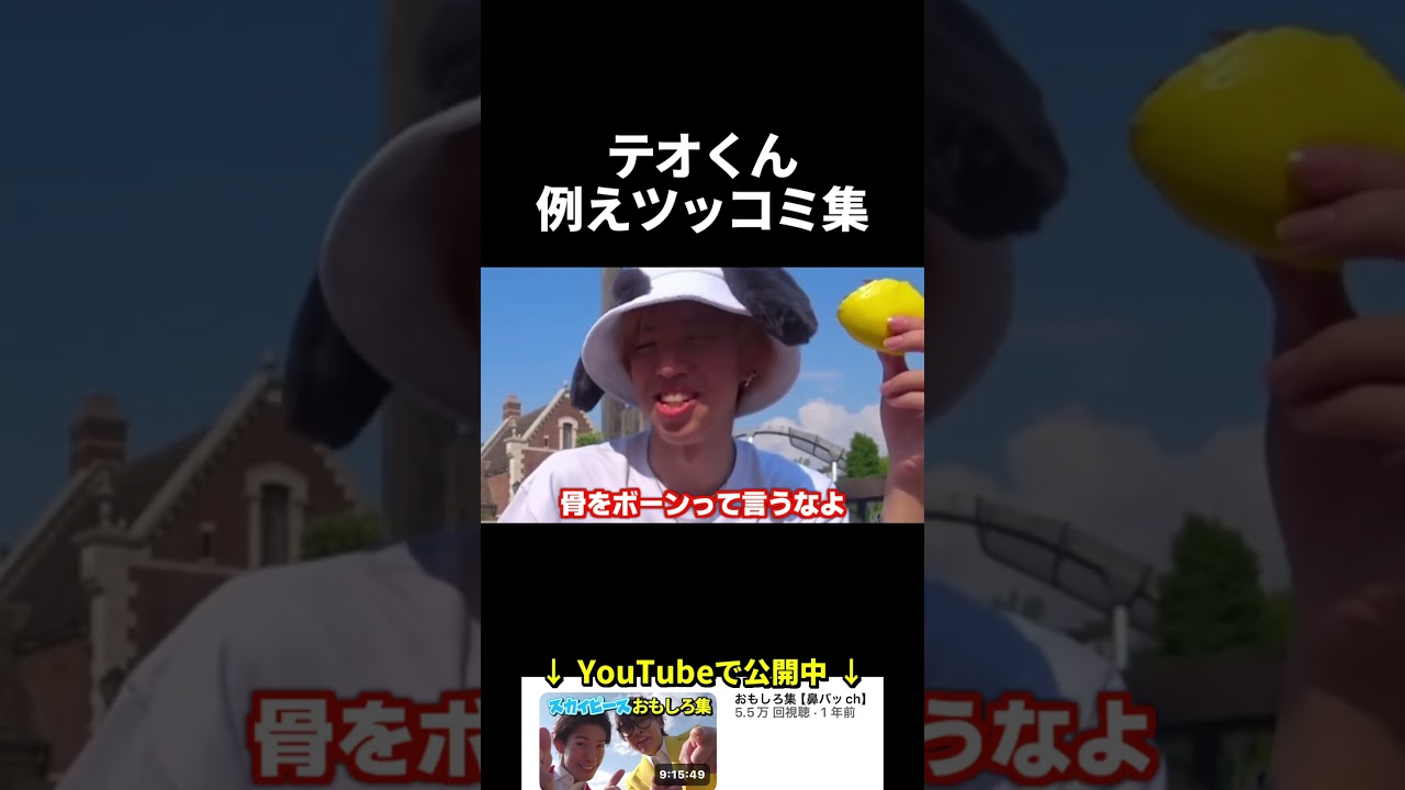 テオくん例えツッコミ集