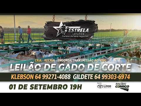 ESTRELA LEILÕES  - AO VIVO - 01/09/2026  -  19H - MORRINHOS - GOIÁS