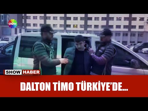 MİT'ten ''Dalton'' operasyonu