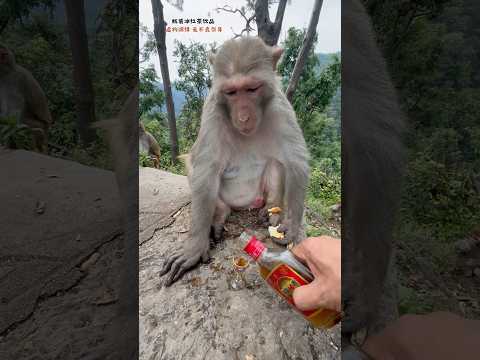面白い #interesting #funny #面白い