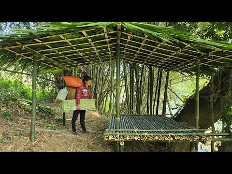 full video, The kind man gave the girl an abandoned house and set up a tent by the river.