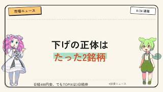 【8/24 デイリー】日経488円安でもTOPIXは3日続伸…下げの正体は2銘柄