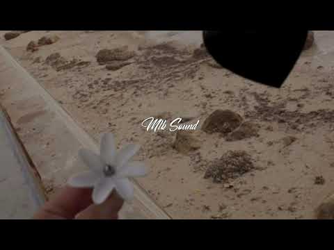 Sech x Ozuma - Si Te Vas (AKAY)