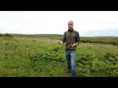Managing Bracken on Winterages