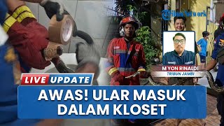 Geger! Ular Sanca Masuk Kamar Mandi Warga Jambi Tengah Malam, Tim Damkar Dikerahkan untuk Evakuasi