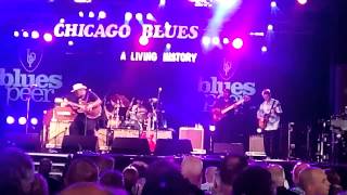 preview picture of video 'Chicago Blues - A living history'