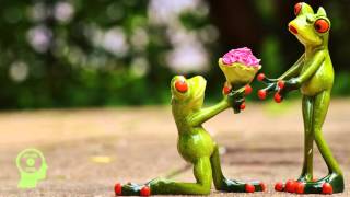 Guggenz - This Love I've Met