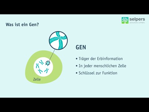 Krebsgenetik – Das haben Gene und Krebs miteinander zu tun (Experte erklärt)