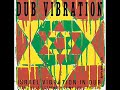 Israel Vibration - Dubbing Against Apartheid - (Dub Vibration)