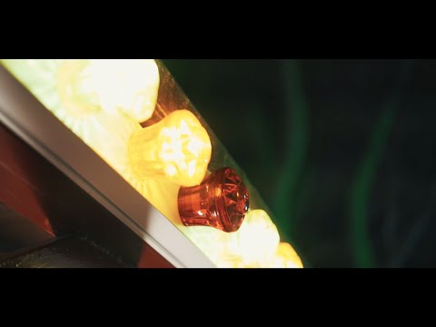 Strane Radici - Non c'è molto da dire (Fennec x G Shape)