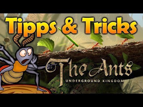 The Ants: Underground Kingdom / Tipps & Tricks / deutsch / 2021
