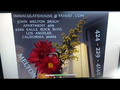 LATEST ST AUREA... FLOWER IMAGERY... LYDIA IMAGERY... SMALL YELLOW FLOWERS AND RED-YELLOW FLOWERS I