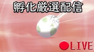 【ポケモン剣盾】孵化孵化孵化孵化孵化孵化孵化孵化孵化孵化孵化孵化孵化配信