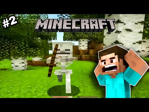 First Encounter with the Mob [MINECRAFT GAMEPLAY PART #2]