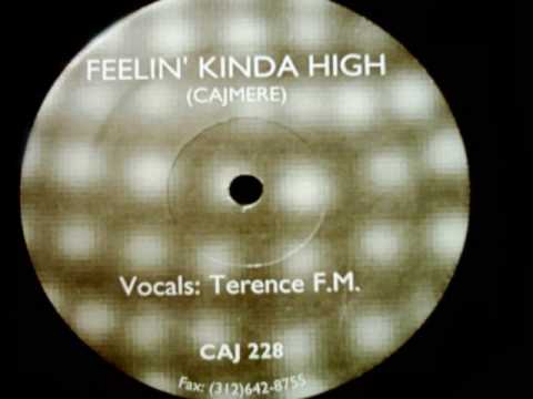 Cajmere feat. Terence FM - Feelin Kinda High (Mix 1)