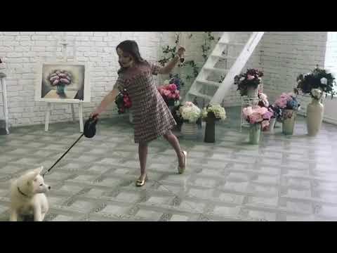 Backstage Miss DM shooting