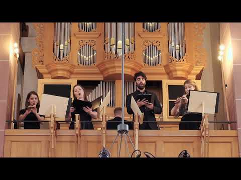 Giovanni Battista Grillo - Anima mea