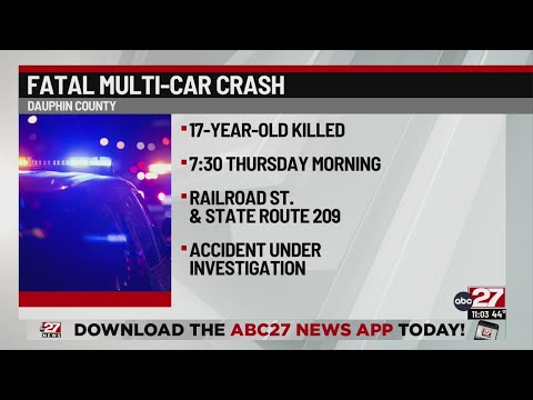 Teen killed in Dauphin County car crash