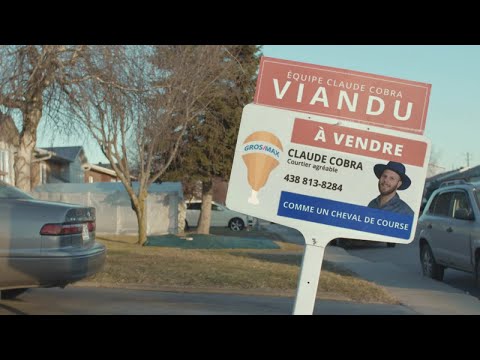 Phrases Fromagées - Bleu Jeans Bleu