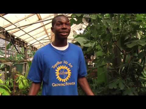 Havenwoods Neighborhood  Growing Future Leaders HD