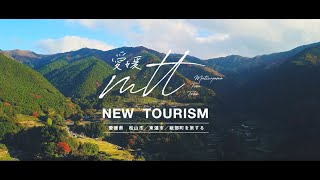 動画4