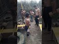 Desi Gym Workout Gym Motivation Bodybuilding Hard Work Shorts