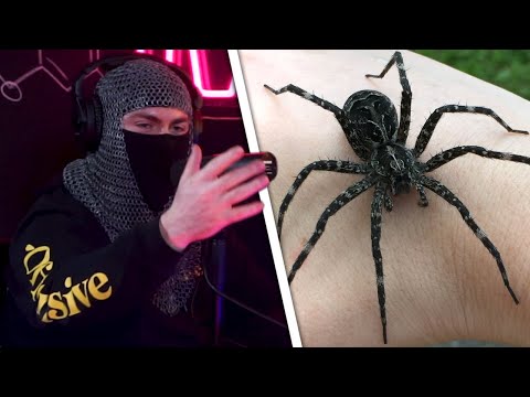 SwaggerSouls Shares Traumatic Spider Experience