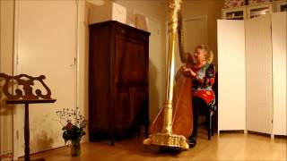 Harpist Regina Ederveen plays Morgenstimmung by Johannes Snoer on harp