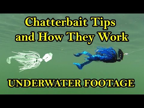 Chatterbait Fishing Lure Tips and How They Work Underwater (Underwater Bass Fishing Lures)