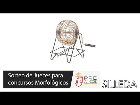 Sorteo en directo de los Jueces de Morfología para el concurso de SILLEDA