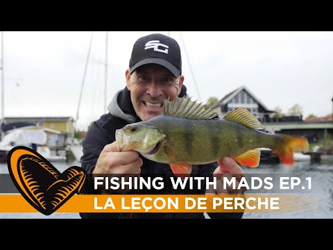 Une leçon de pêche à la perche (ép.1)