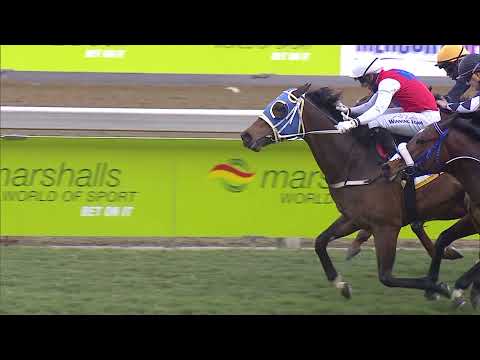 PEARL OF ASIA - MERCURY SPRINT (Grade 1)