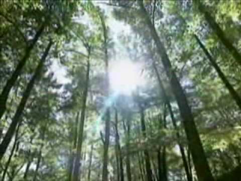 Harlan County General Tourism Video